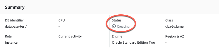 DB-Instance-Details