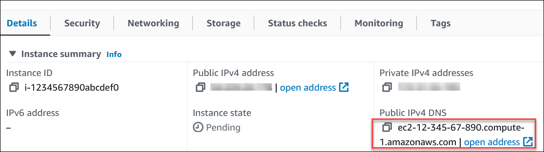 Öffentlicher EC2-DNS-Name auf der Registerkarte „Details“ der Seite „Instances“.