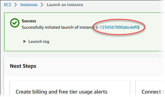 EC2Instance-ID auf der Seite Startstatus.