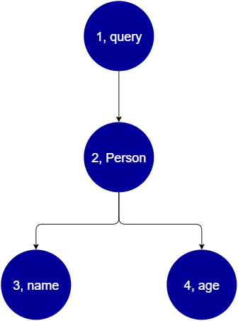 Hierarchical diagram showing query, Person, name, and age nodes connected by arrows.