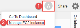 Sie entscheiden sich dafür, die Instance von der IDE aus zu AWS Cloud9 verwalten