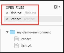 Bereich „Open Files“ (Dateien öffnen) im Fenster „Environment“ (Umgebung)