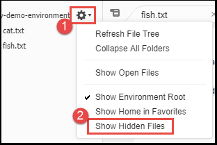 Anzeigen von ausgeblendeten Dateien mit dem Fenster „Environment“ (Umgebung)