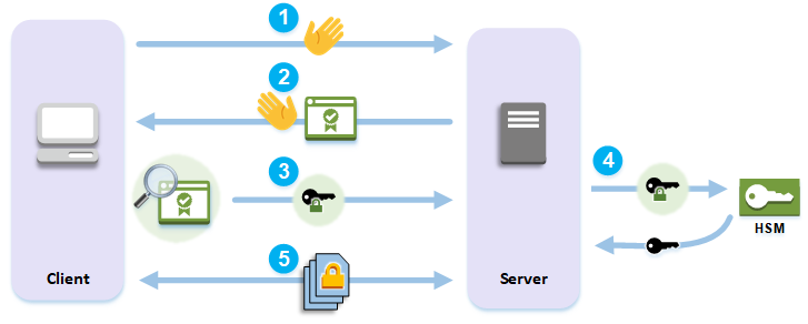 Eine Veranschaulichung des TLS Handshake-Prozesses zwischen einem Client und einem Server, einschließlich der kryptografischen Übertragung auf einen. HSM