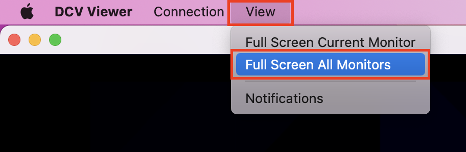 DCV Viewer menu showing "View" options, with "Full Screen All Monitors" highlighted.