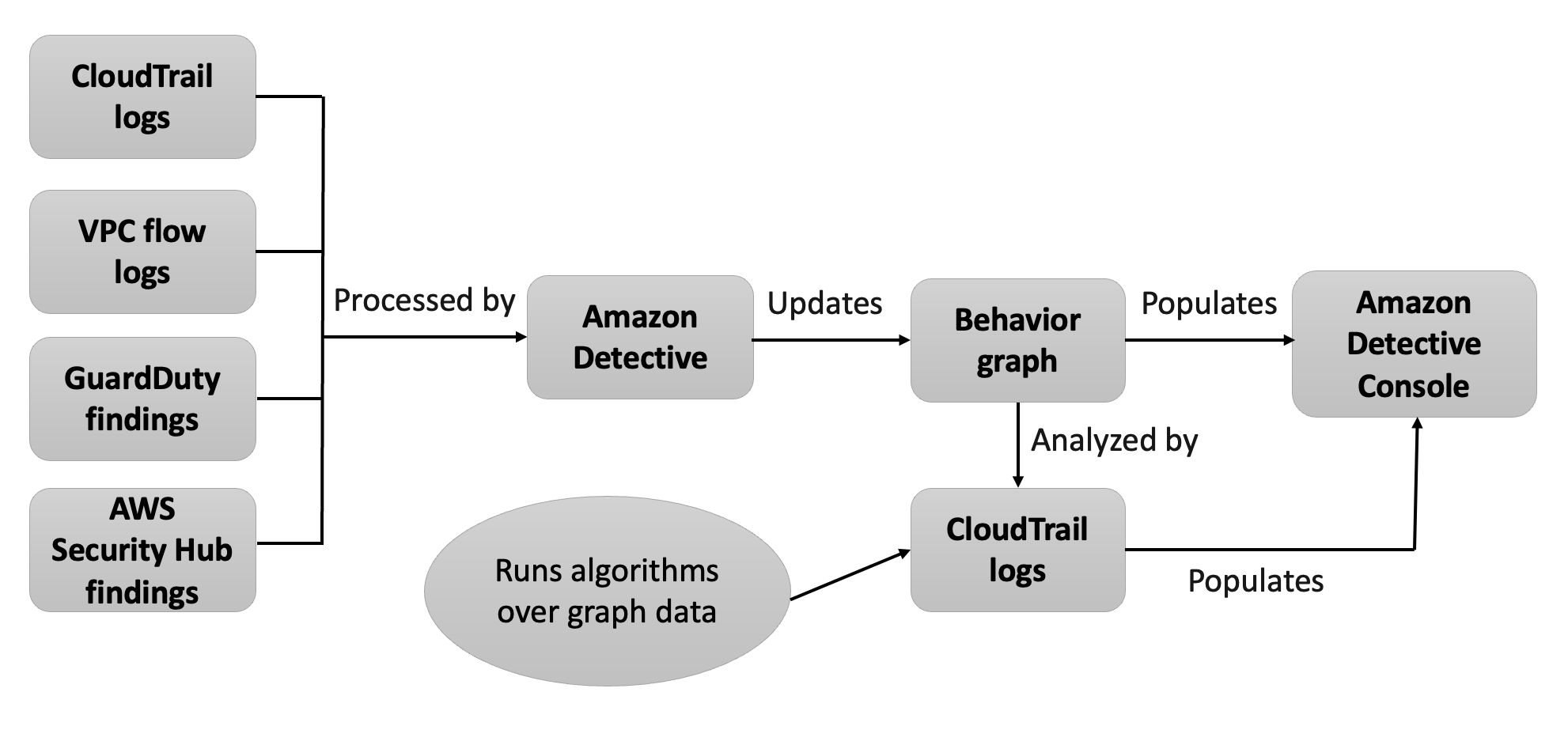 Diagramm, das den Datendurchfluss eingehender Quelldaten in Detective zeigt, wo sie zum Füllen des Verhaltensdiagramms verwendet werden.