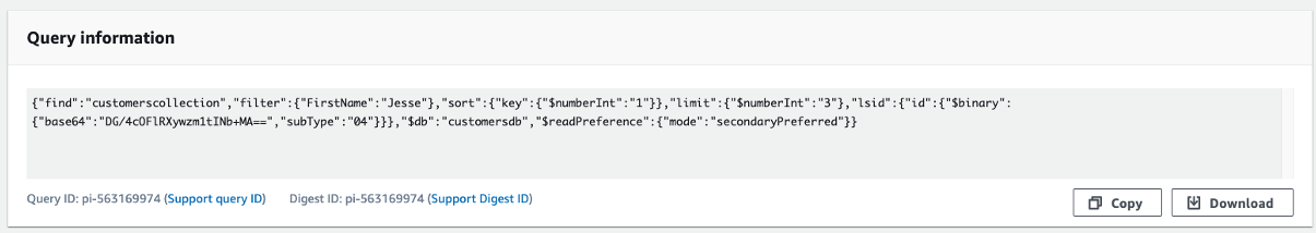 Query information section displaying JSON-like structure for a database query.