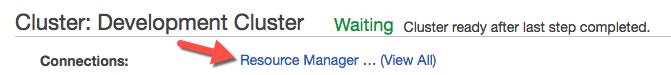 Resource Manager link under Connections section in Cluster details page.