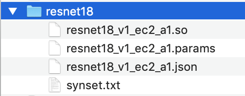 Das kompilierte Modellverzeichnis resnet18 enthält vier Dateien.