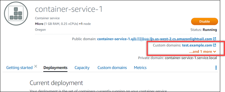 Benutzerdefinierte Domains für einen Container-Service in der Lightsail-Konsole