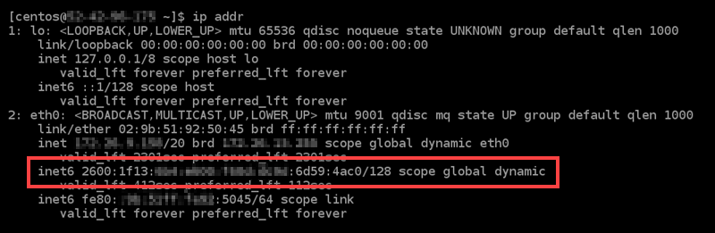 IPv6auf der Instanz konfiguriert.