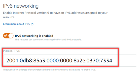 IPv6Instanzadresse auf der Registerkarte Netzwerk der Instanzverwaltungsseite.