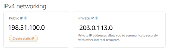 Die IP-Adressen auf der Registerkarte „Networking“ auf der Instance-Verwaltungsseite.