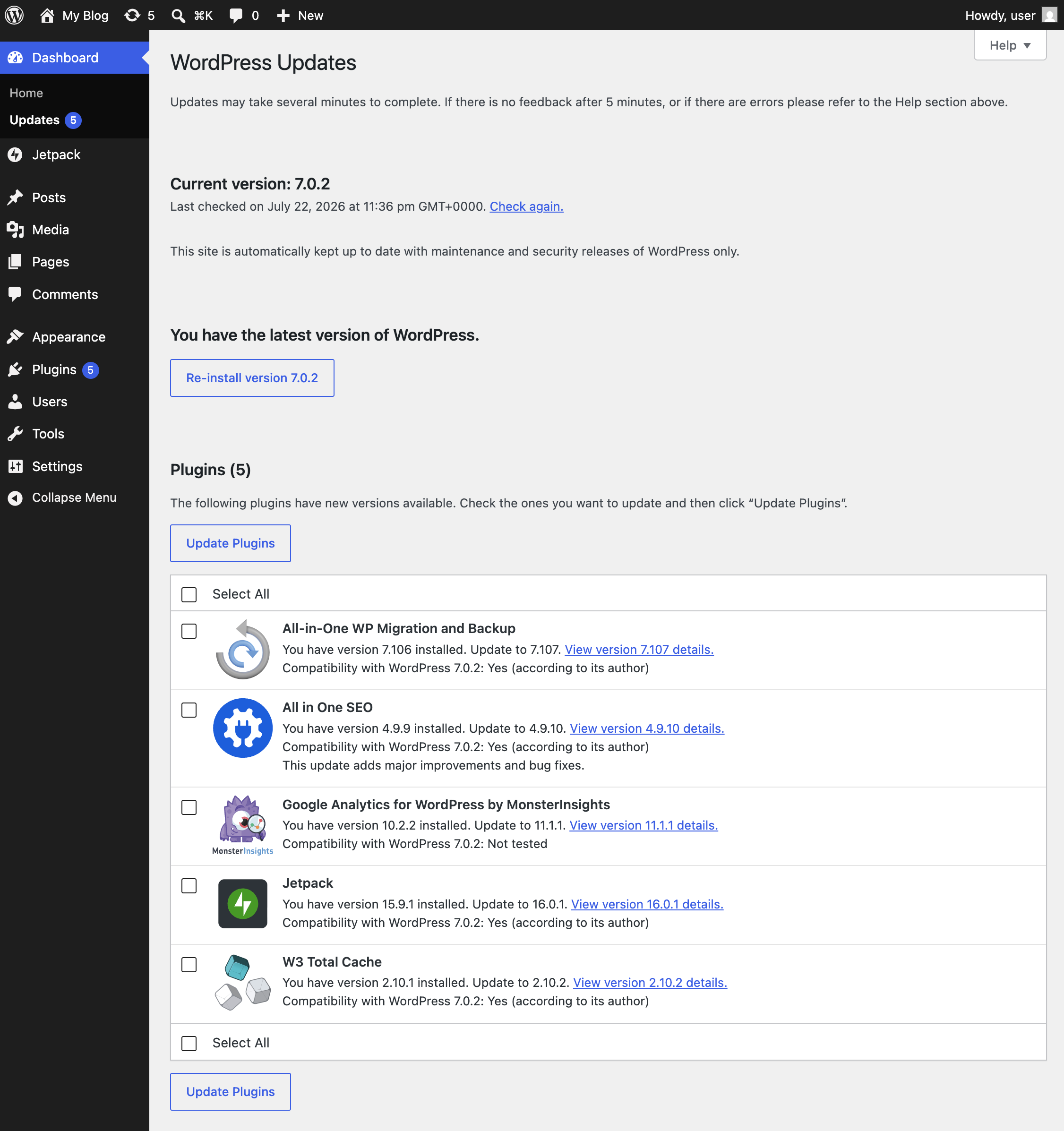 WordPress Aktualisierungsseite mit der aktuellen Version und den verfügbaren Plugin-Updates.