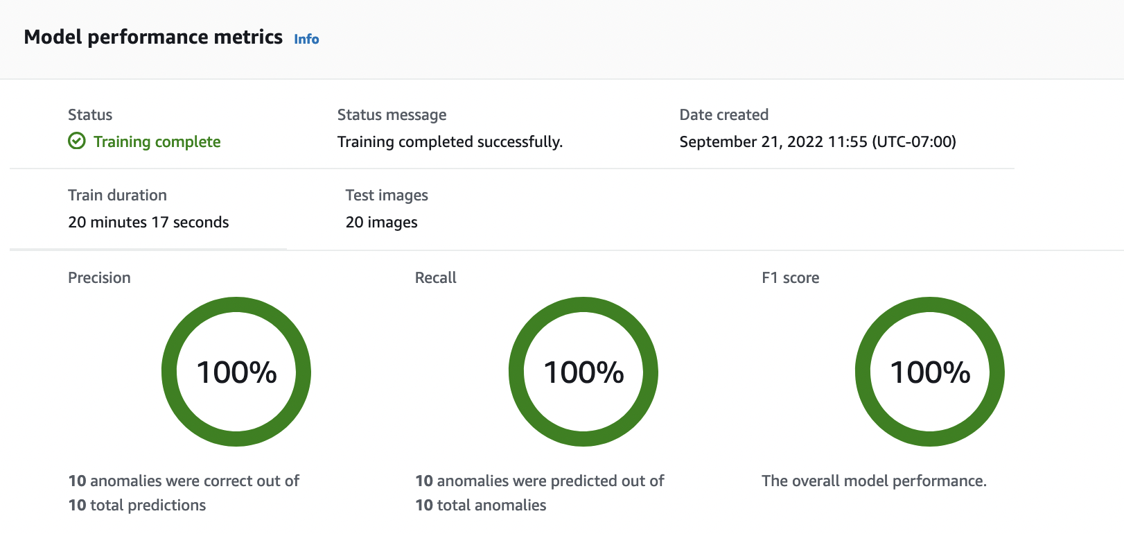 Model performance metrics showing 100% precision, recall, and F1 score for 20 test images.