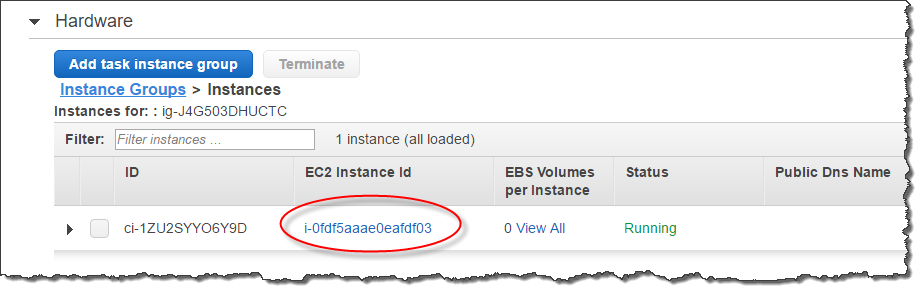 Ein Screenshot, der einen EC2 Amazon-Instance-ID-Wert in der EMR Amazon-Konsole hervorhebt.