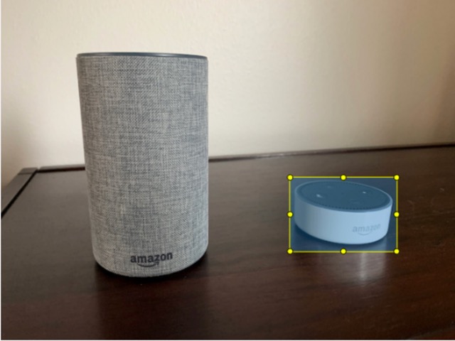 Amazon Echo Dot- und Echo-Geräte mit einer Bounding-Box rund um Echo Dot.