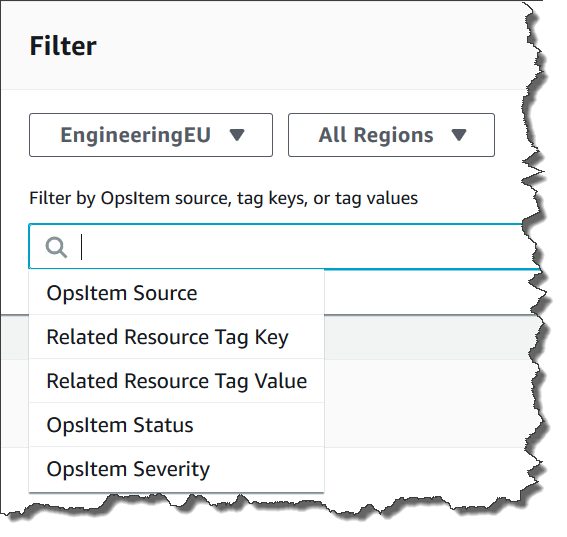 Verwenden der Filter-Suchleiste in Systems Manager Explorer