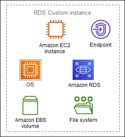 Componentes de las instancias de base de datos de RDS Custom