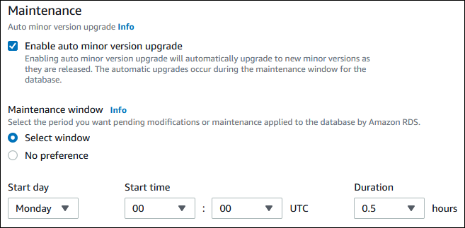 La sección Mantenimiento con la opción Habilitar actualización automática de versiones secundarias está seleccionada en la consola de Amazon RDS.