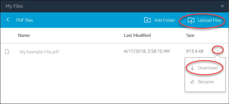 File management interface showing PDF file with options to upload, download, and rename.