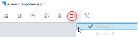 Toolbar with video icon highlighted in red, indicating active webcam use.