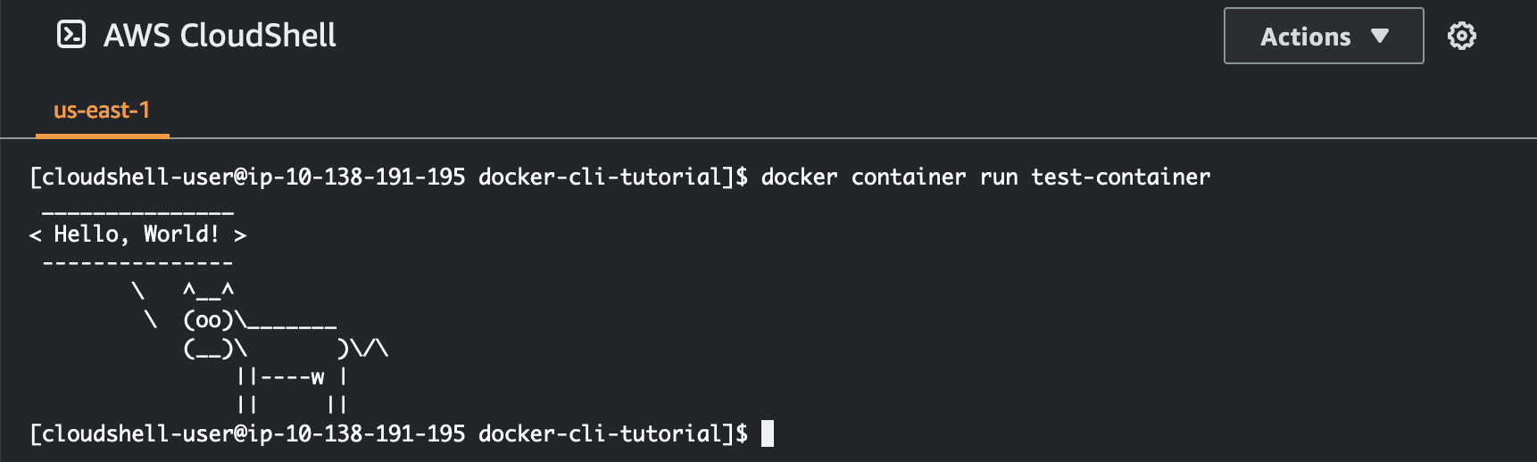 Imagen del comando docker container run en su interior AWS CloudShell