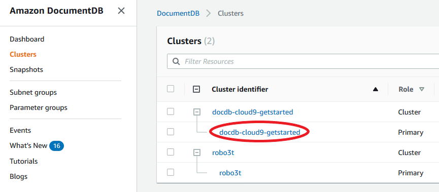 DocumentDB clusters list showing two clusters with their identifiers and roles.