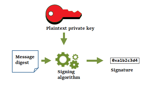 Genere una firma criptográfica con la clave privada en un par de claves de datos fuera de AWS KMS.