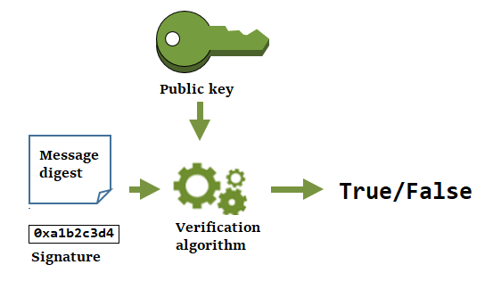 Verifique una firma criptográfica mediante la clave pública en un par de claves de datos fuera de AWS KMS.