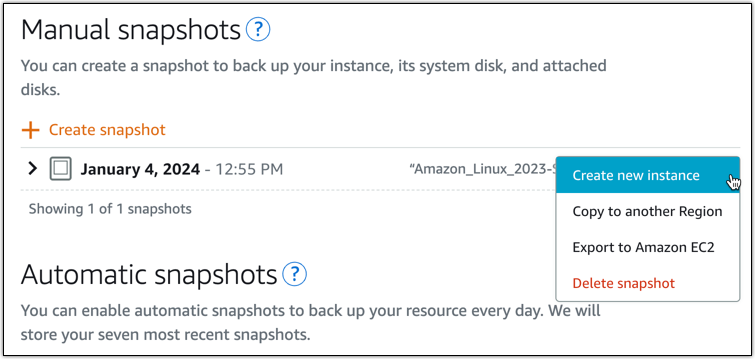 El menú Administrar instantáneas muestra el cursor y seleccionar Crear nueva instancia.