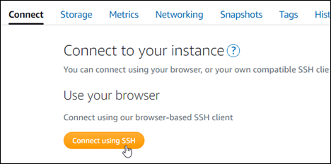 Conéctese a la instancia mediante SSH.