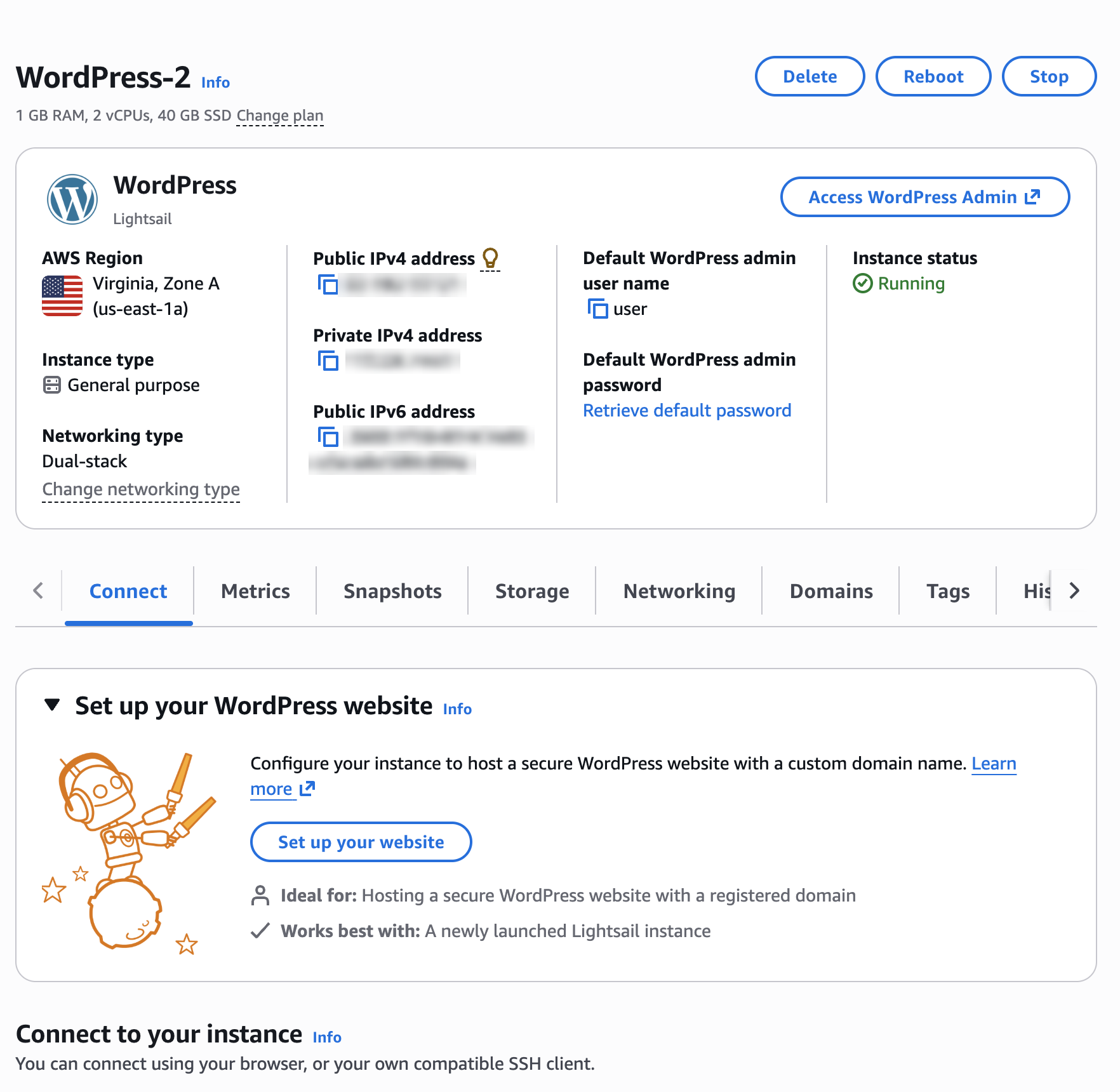 Página de administración de instancias para una WordPress instancia en la consola de Lightsail.