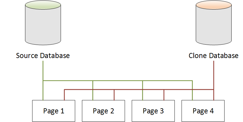 Base de datos de origen de Neptune y base de datos clonada que apuntan a las mismas páginas después de la clonación de bases de datos.