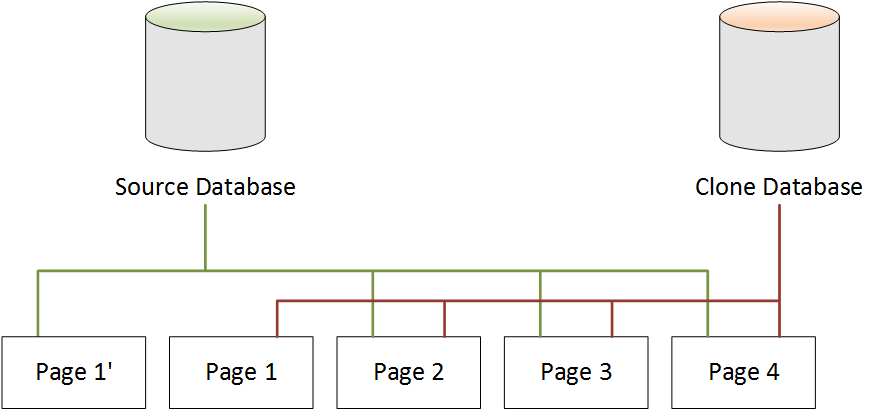 Base de datos de origen de Neptune y base de datos clonada después de los cambios en la base de datos de origen.