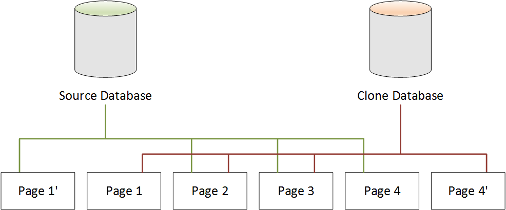 Base de datos de origen de Neptune y base de datos clonada, después de los cambios en la base de datos clonada.