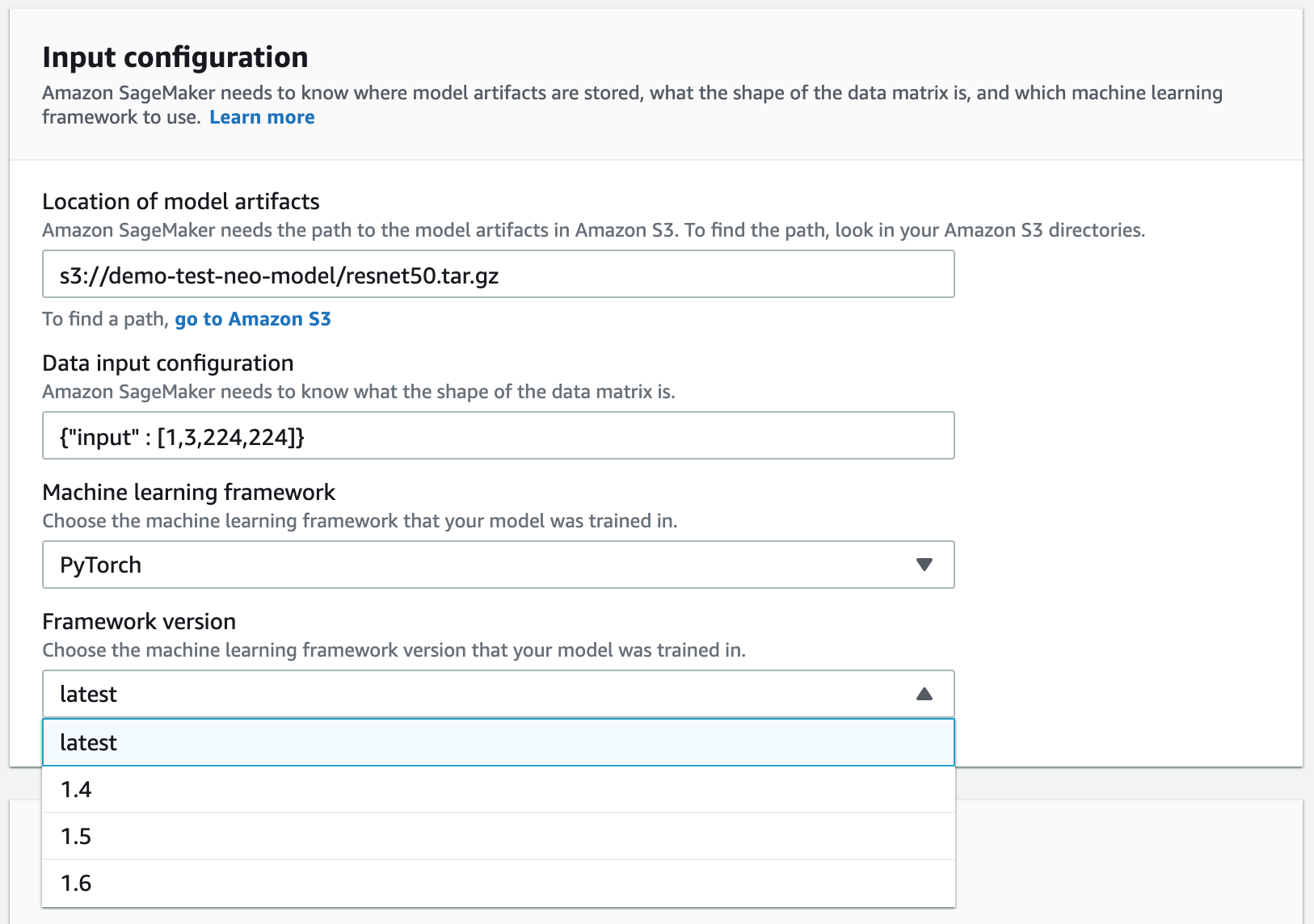 Ejemplo de sección de configuración de entrada que muestra dónde elegir la versión de Framework.