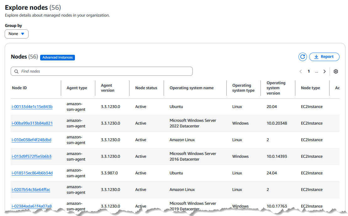 Una lista de los nodos administrados en la página Explorar nodos