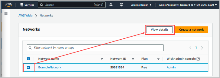 Networks page showing a selected network with options to view details or create a new network.