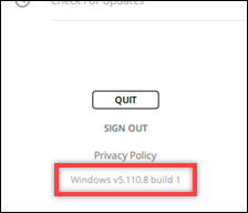 Sign out options with privacy policy link and Windows version information displayed.