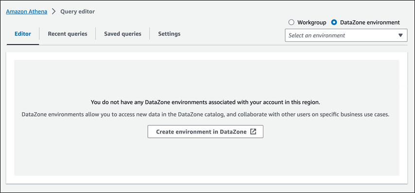 Choisissez DataZone l'environnement.