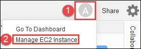Choisir de gérer l'instance depuis l' AWS Cloud9 IDE