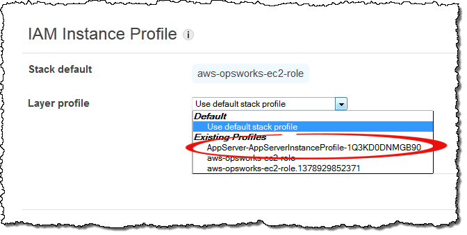 IAM Instance Profile dropdown showing available profiles for selection.