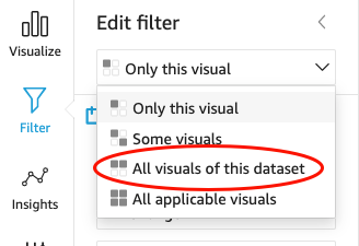 Filter pane showing options to select visuals, with "All visuals of this dataset" highlighted.