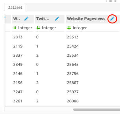 Dataset preview pane showing columns for W, Twitter, and Website Pageviews with edit icon highlighted.