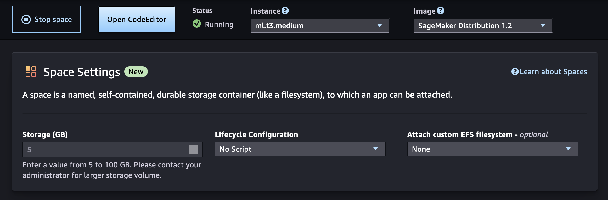 Une page détaillée de l'espace dans l'interface utilisateur de l'application Code Editor.