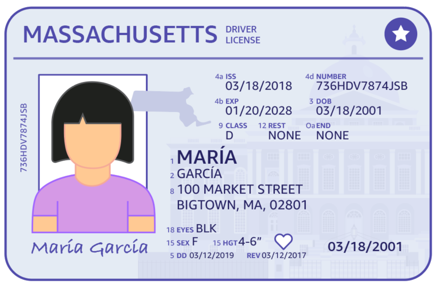 Texte descriptif ici : Un permis de conduire simulé de l'État du Massachusetts. Le nom de la personne propriétaire de la licence est Maria Garcia. Le champ ISS a une valeur de 18/03/2018. Le champ Number a la valeur 736HDV7874JSB. Le champ EXP a une valeur du 20/01/2028. Le champ DOB a une valeur du 18/03/2001. Le champ CLASS a la valeur D. Le champ REST est NONE. Le champ END est NONE. L'adresse indiquée sur la pièce d'identité est 100 Market Street, Bigtown, MA, 02801. Le champ EYES est BLK, le champ SEX est F, le champ HGT est 4-6", le champ DD est 03/12/2019 et le champ REV est 03/12/2017.