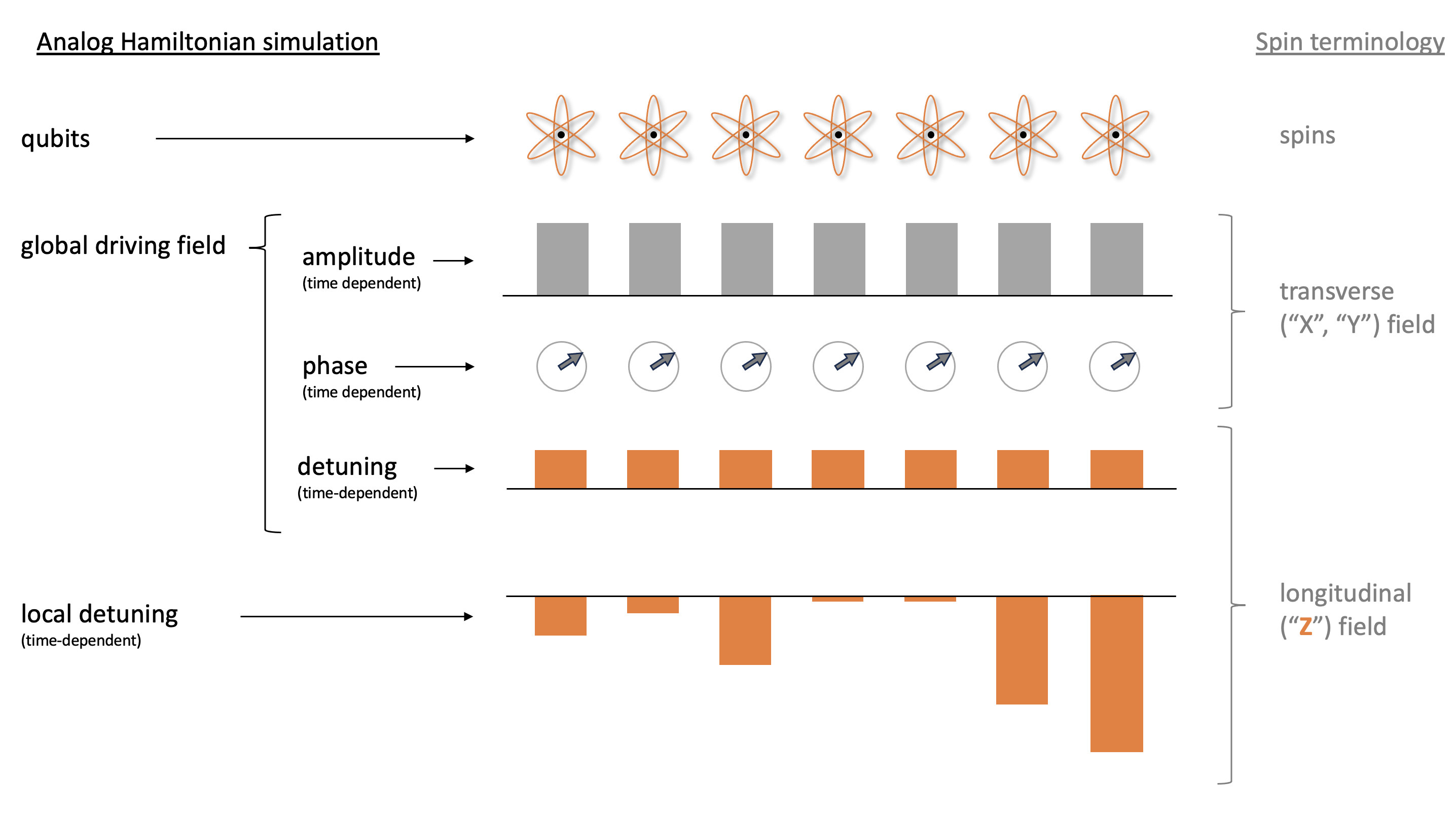 Simulasi hamiltonian analog dalam terminologi spin, di mana ada qubit, medan penggerak global yang bergantung pada waktu, dan detuning lokal yang bergantung pada waktu.