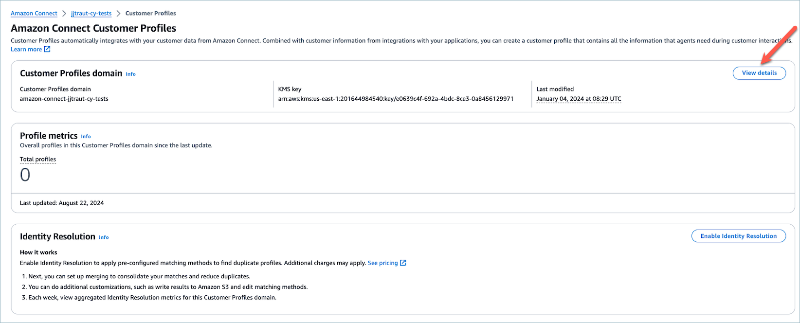 Pilih Lihat detail di bagian domain Profil Pelanggan