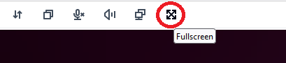 Fullscreen icon highlighted in red circle within a row of interface controls.